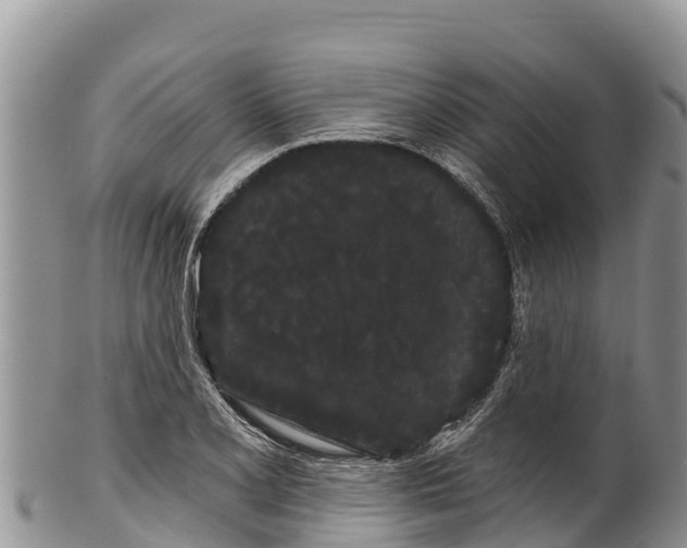 X0000100201077200806201415