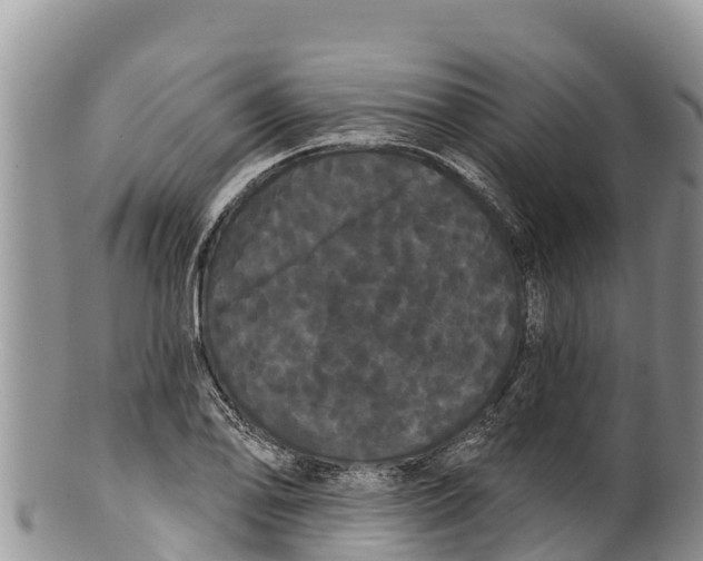 X0000100201078200806201415