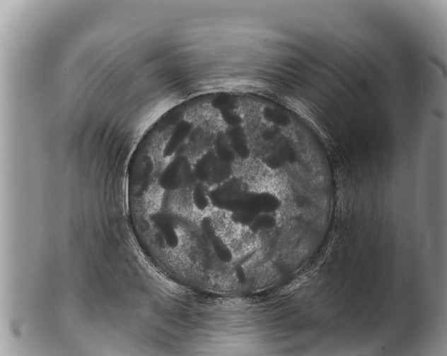 X0000100201079200806201415