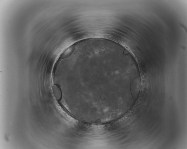 X0000100201080200806201415