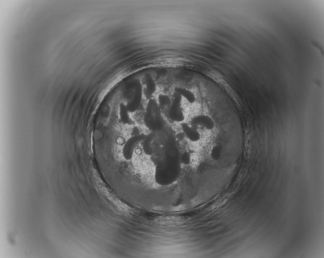 X0000100201083200806201415