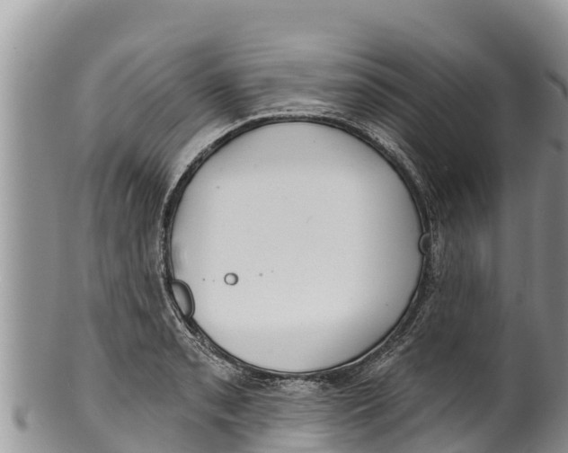 X0000100201085200806201415