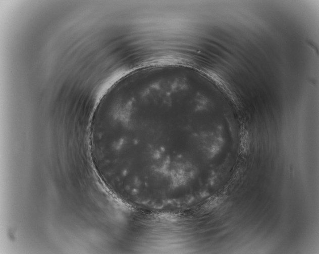 X0000100201086200806201415