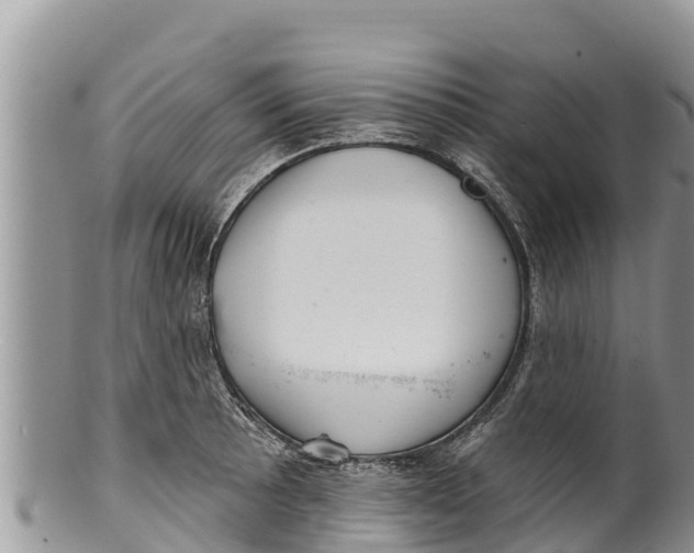 X0000100201089200806201415