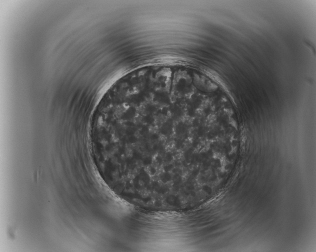 X0000100201091200806201415