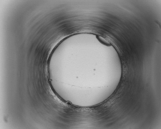 X0000100201092200806201415