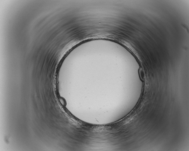 X0000100201093200806201415