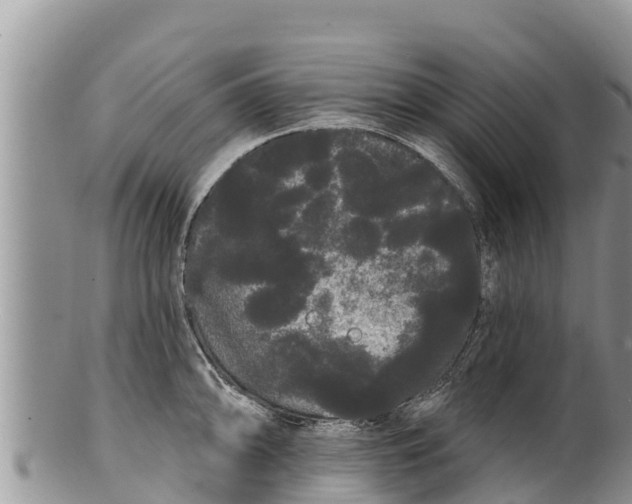 X0000100201094200806201415