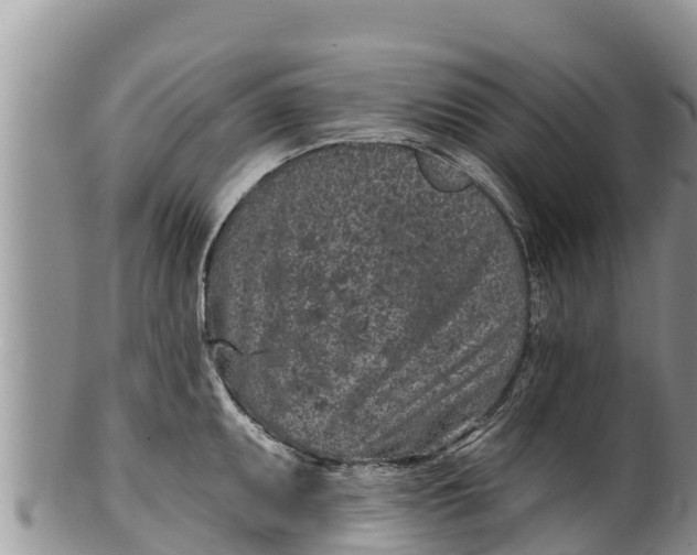 X0000100201095200806201415