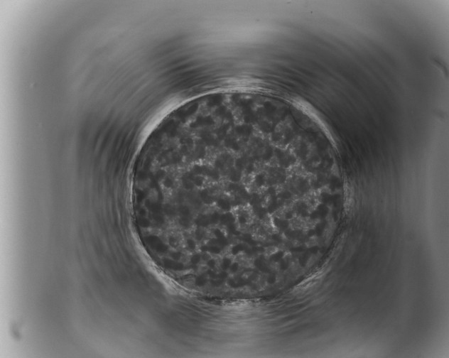 X0000100201099200806201415