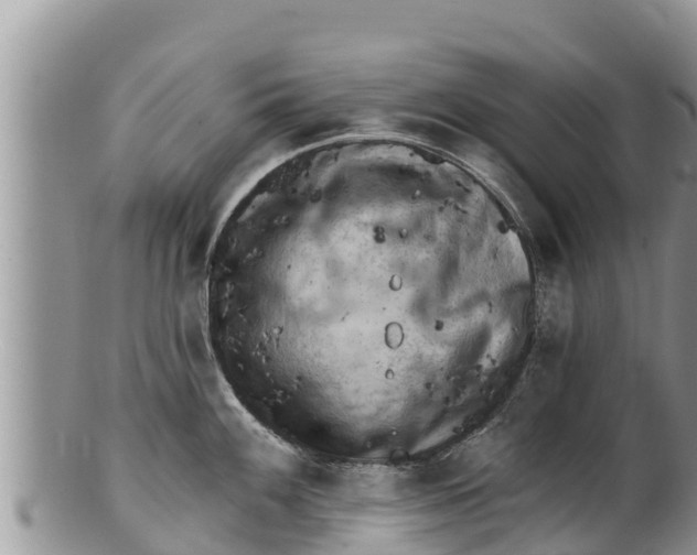 X0000100201100200806201415