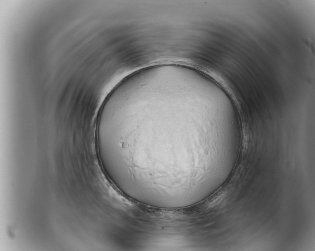 X0000100201102200806201415