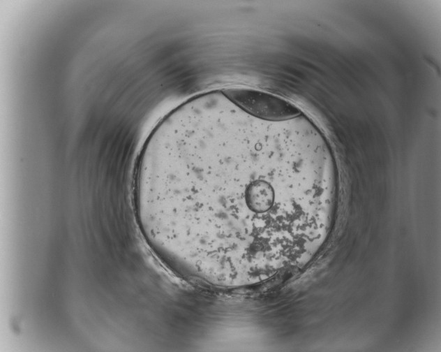 X0000100201104200806201415