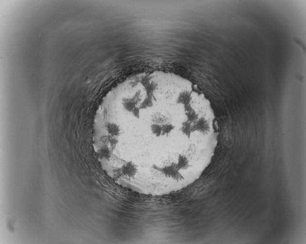 X0000100201105200806201414