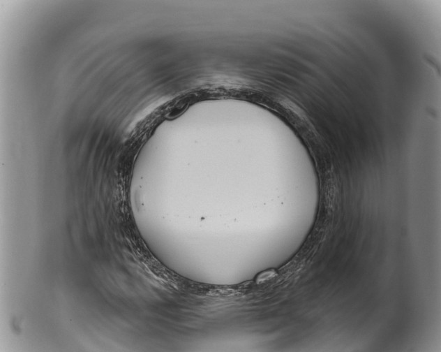 X0000100201112200806201414