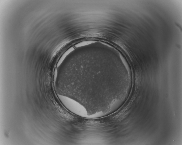 X0000100201115200806201414