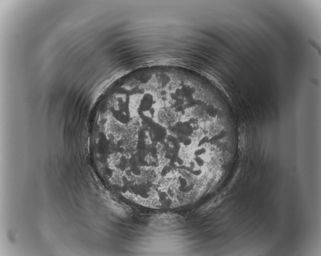 X0000100201117200806201414