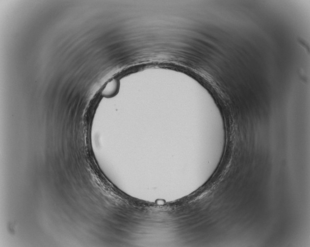 X0000100201118200806201414