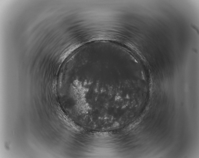 X0000100201121200806201414