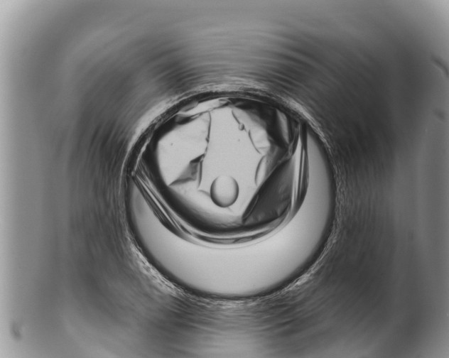 X0000100201122200806201414