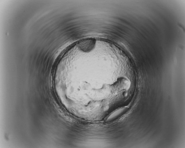 X0000100201125200806201415