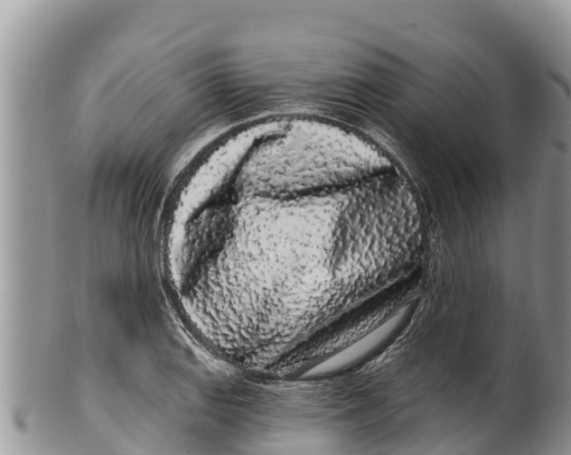 X0000100201127200806201415