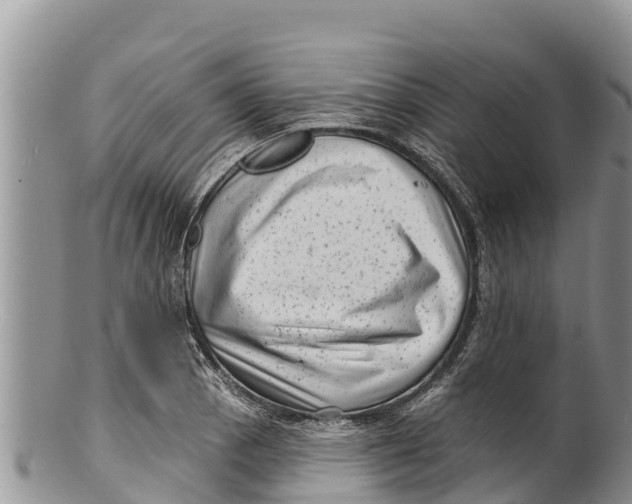 X0000100201129200806201415