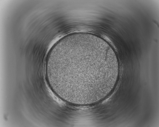 X0000100201130200806201415