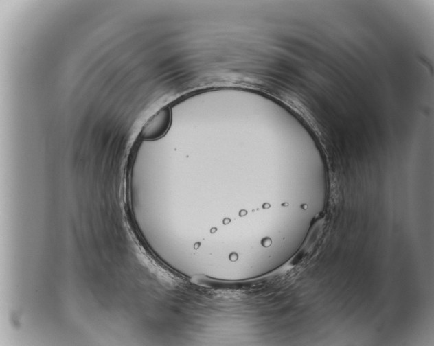 X0000100201136200806201415