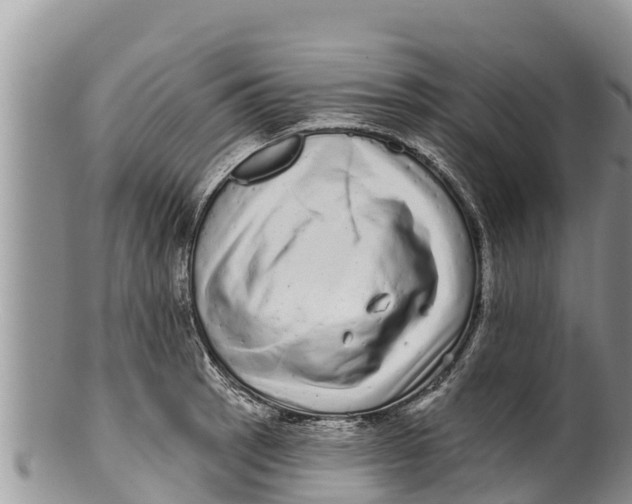 X0000100201137200806201415