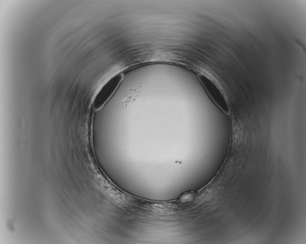 X0000100201138200806201415