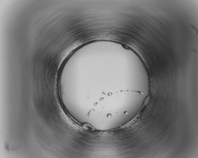 X0000100201139200806201415