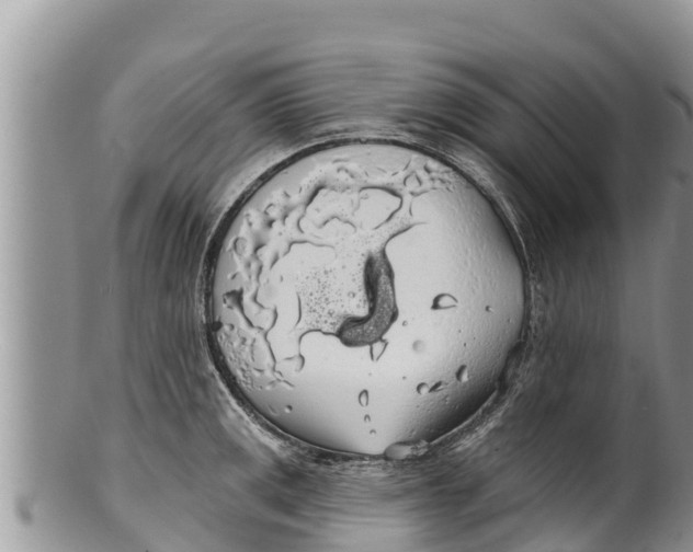 X0000100201141200806201415