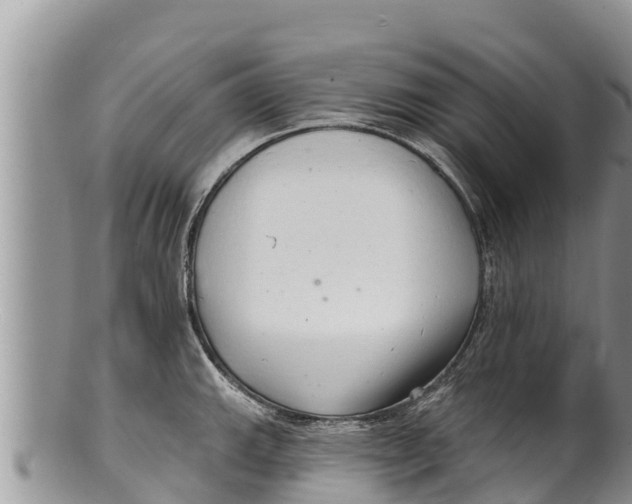 X0000100201143200806201415