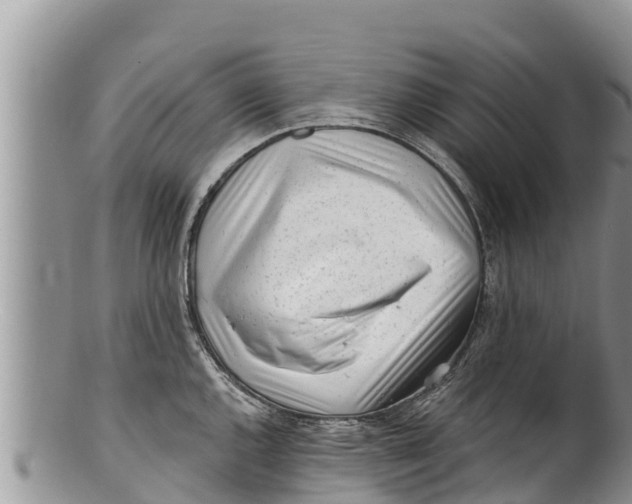 X0000100201144200806201415