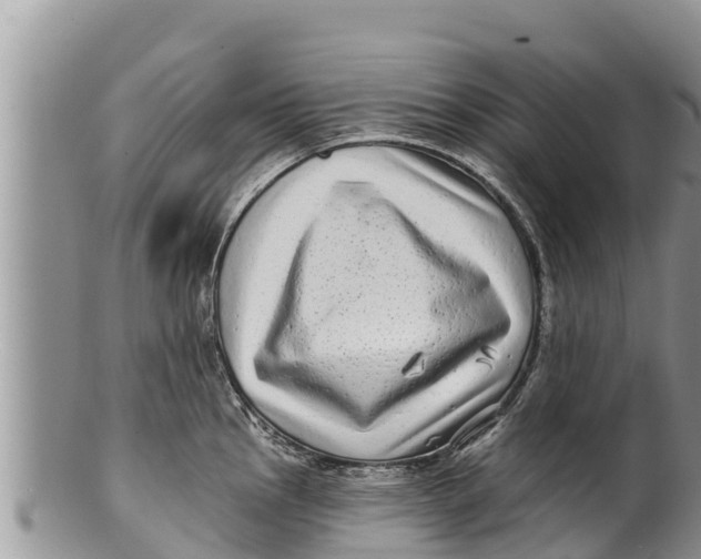 X0000100201145200806201415