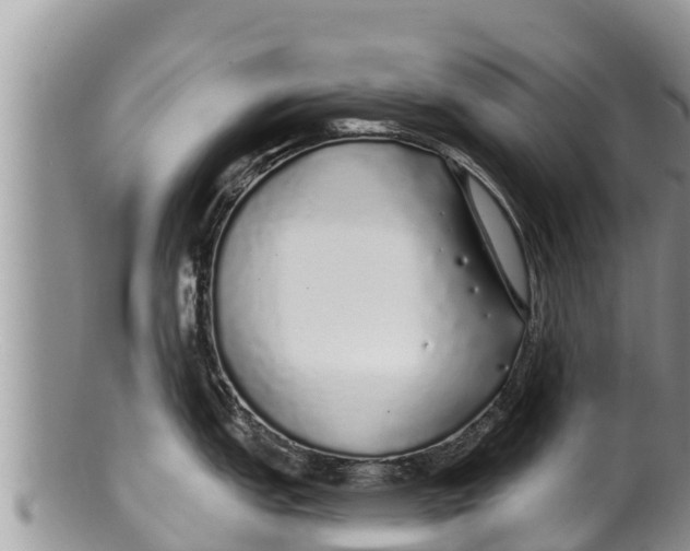 X0000100201151200806201415