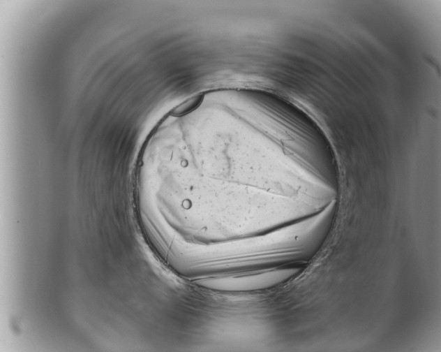 X0000100201152200806201415