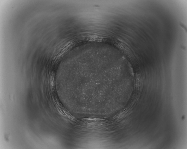 X0000100201154200806201414