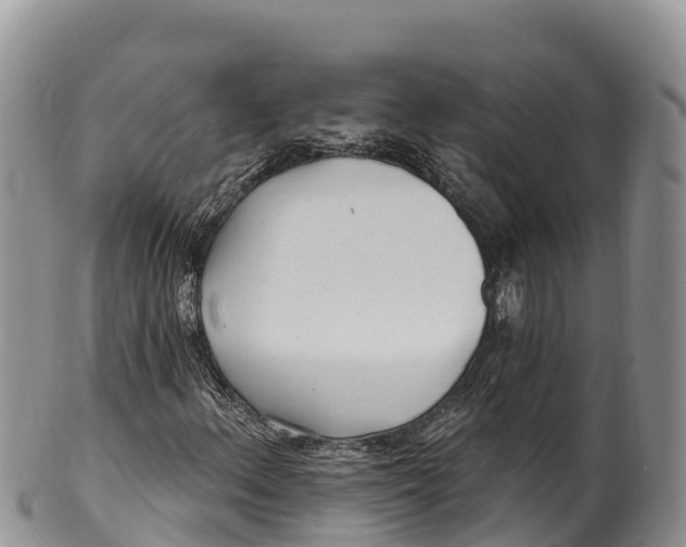 X0000100201156200806201414