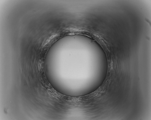 X0000100201157200806201414