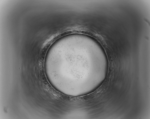 X0000100201159200806201414