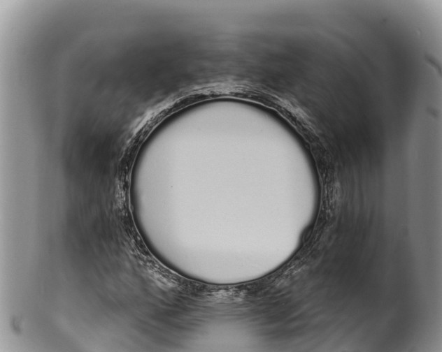 X0000100201160200806201414