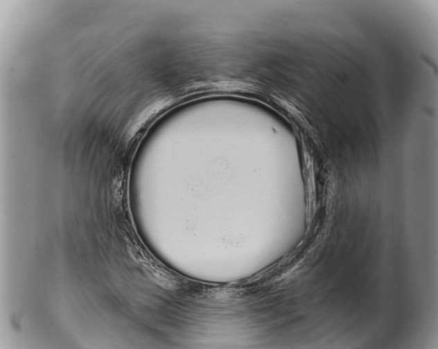 X0000100201163200806201414