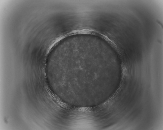 X0000100201166200806201414