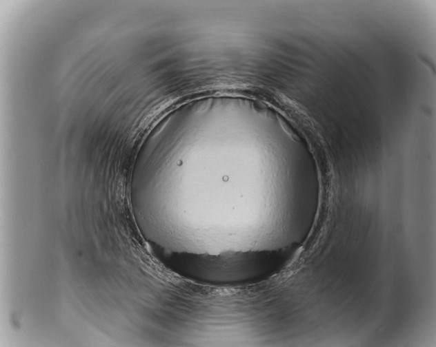 X0000100201169200806201414