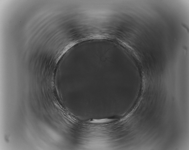 X0000100201170200806201414