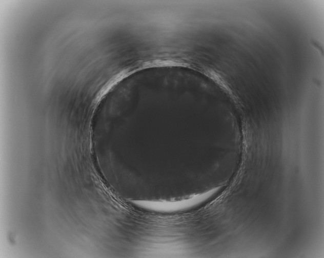 X0000100201173200806201414