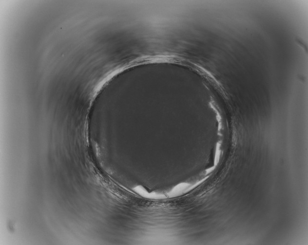 X0000100201174200806201414