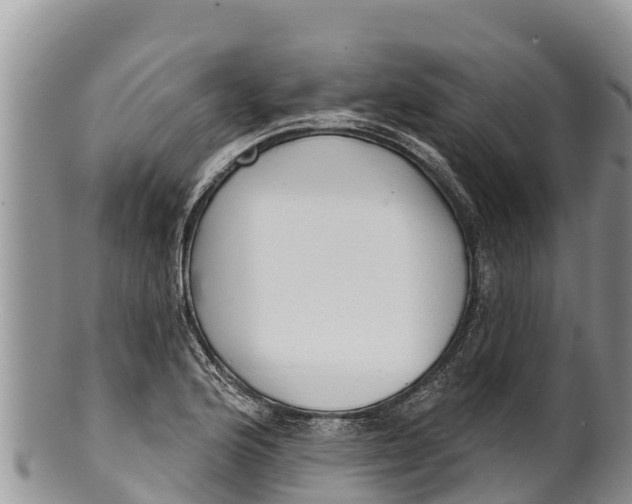 X0000100201176200806201414